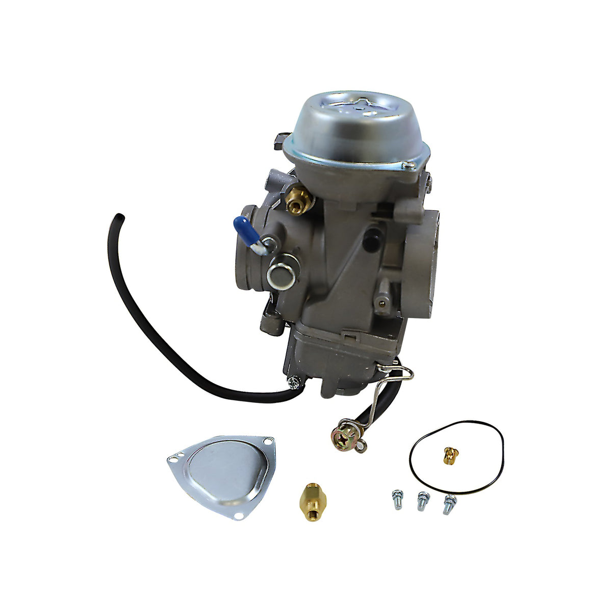 1002-0081-main-02