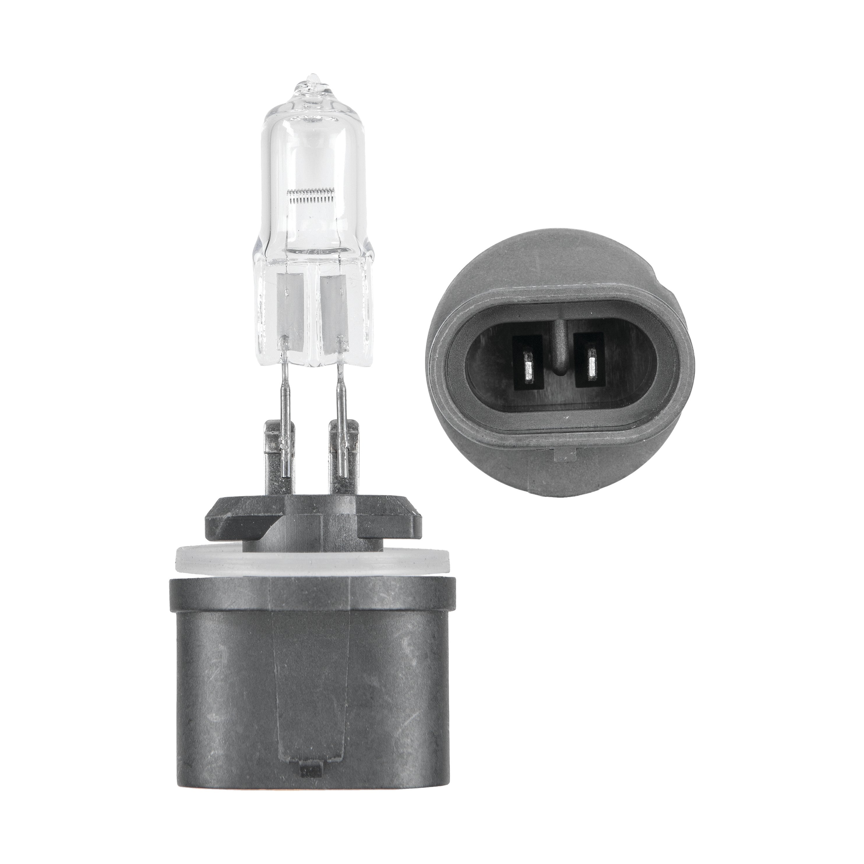 ACTION 885 BULB - 12-10421