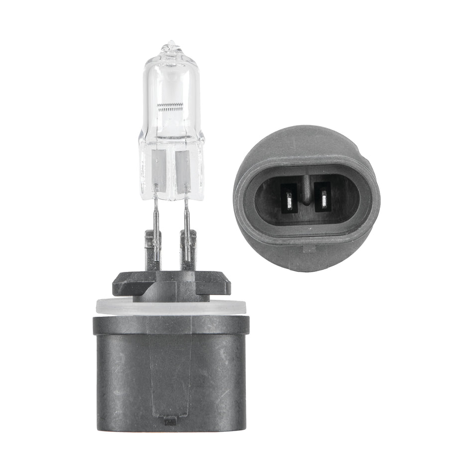 ACTION 885 BULB - 12-10421