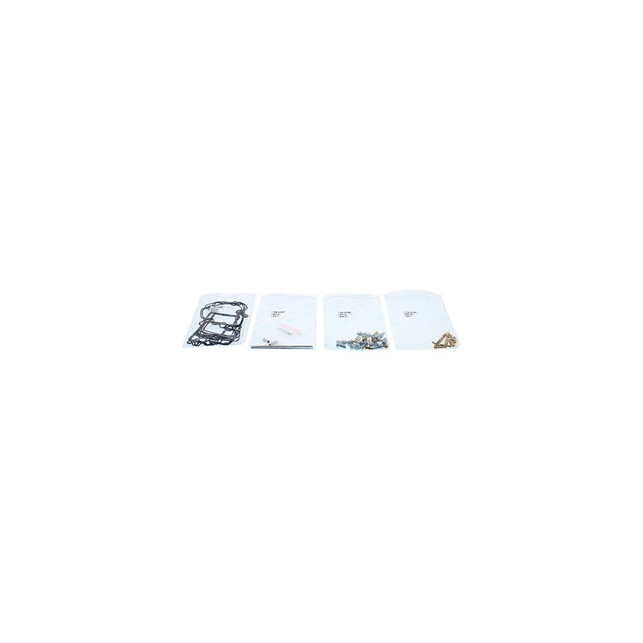 CARBURETOR REBUILD KIT - 141-8866