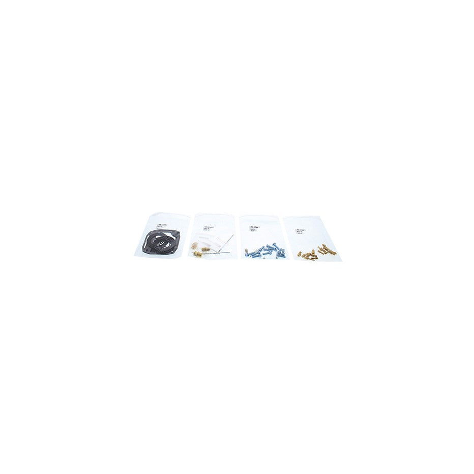 CARBURETOR REBUILD KIT - 141-8971
