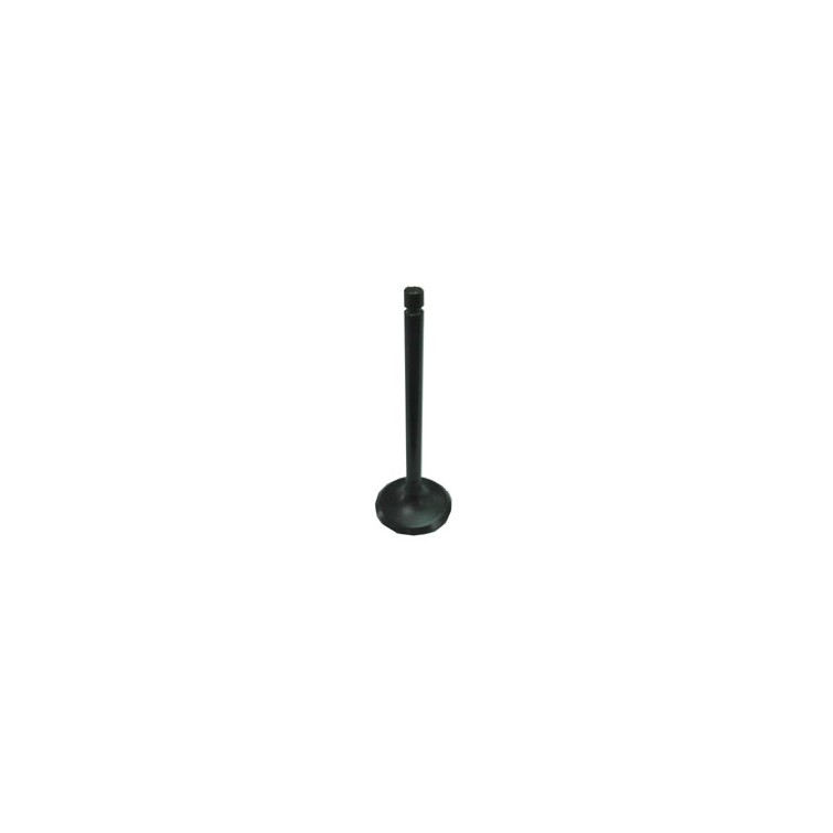 EXHAUST VALVE - 183-09158E