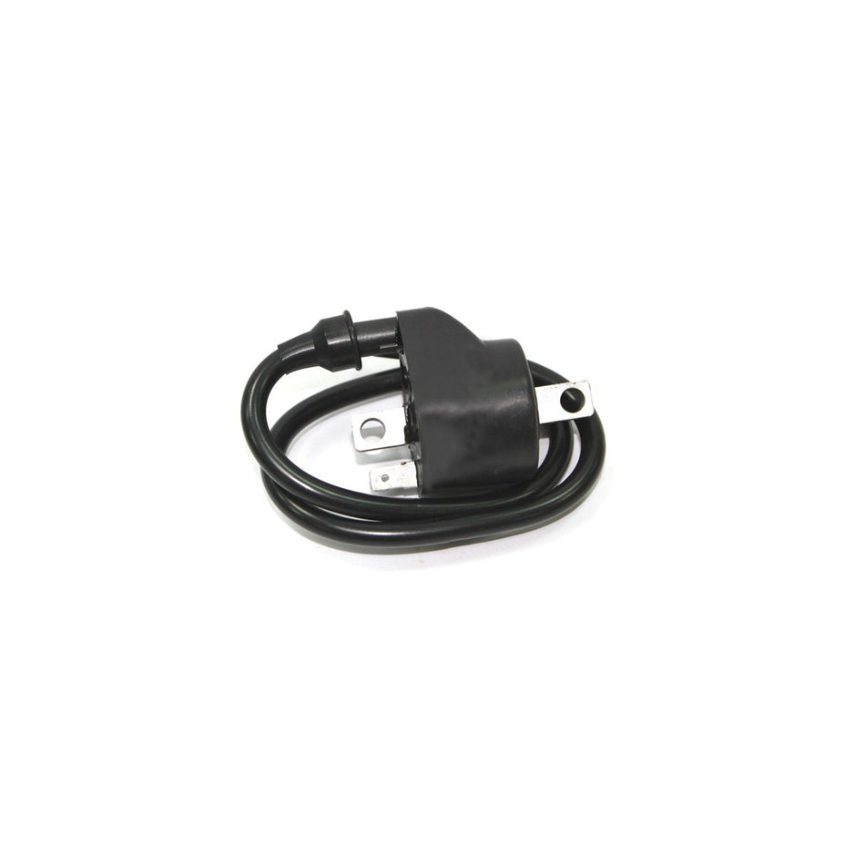 ATV IGNITION COIL - 183-2016