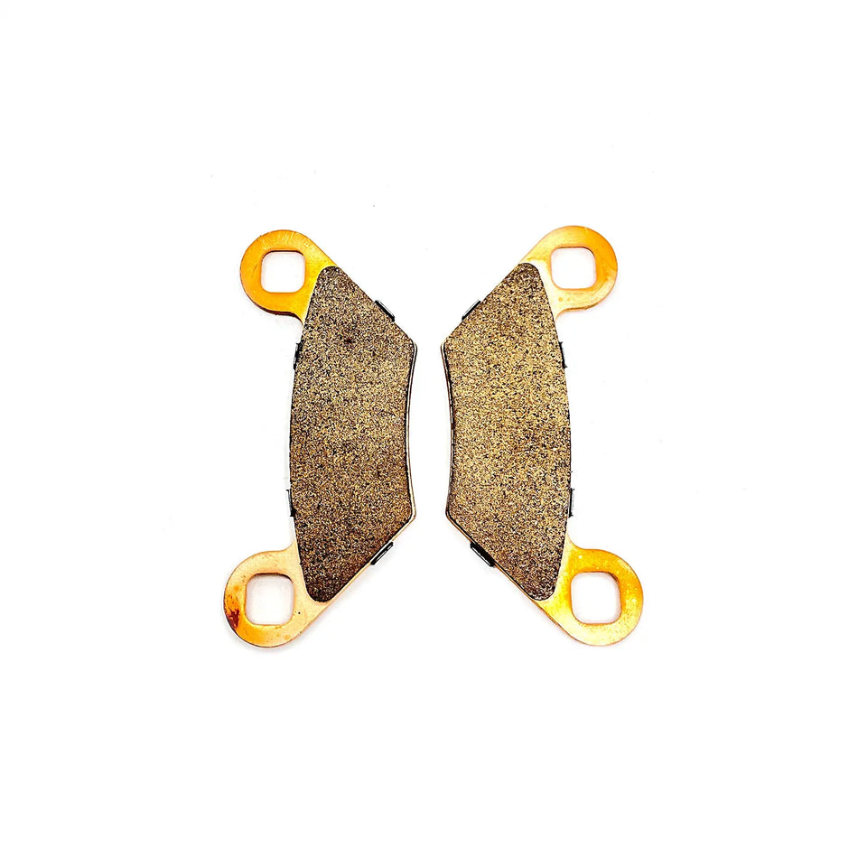 POALRIS REAR DUAL INPUT BRAKE PADS - 2204088