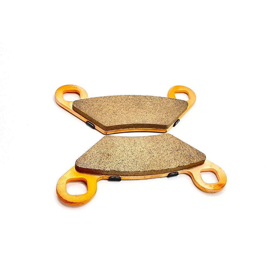 POALRIS REAR DUAL INPUT BRAKE PADS - 2204088