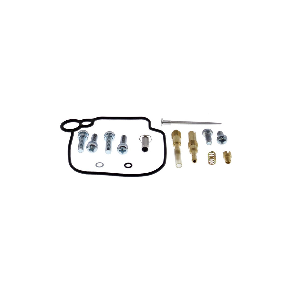BIKE CARBURETOR REBUILD KIT - 226-10021
