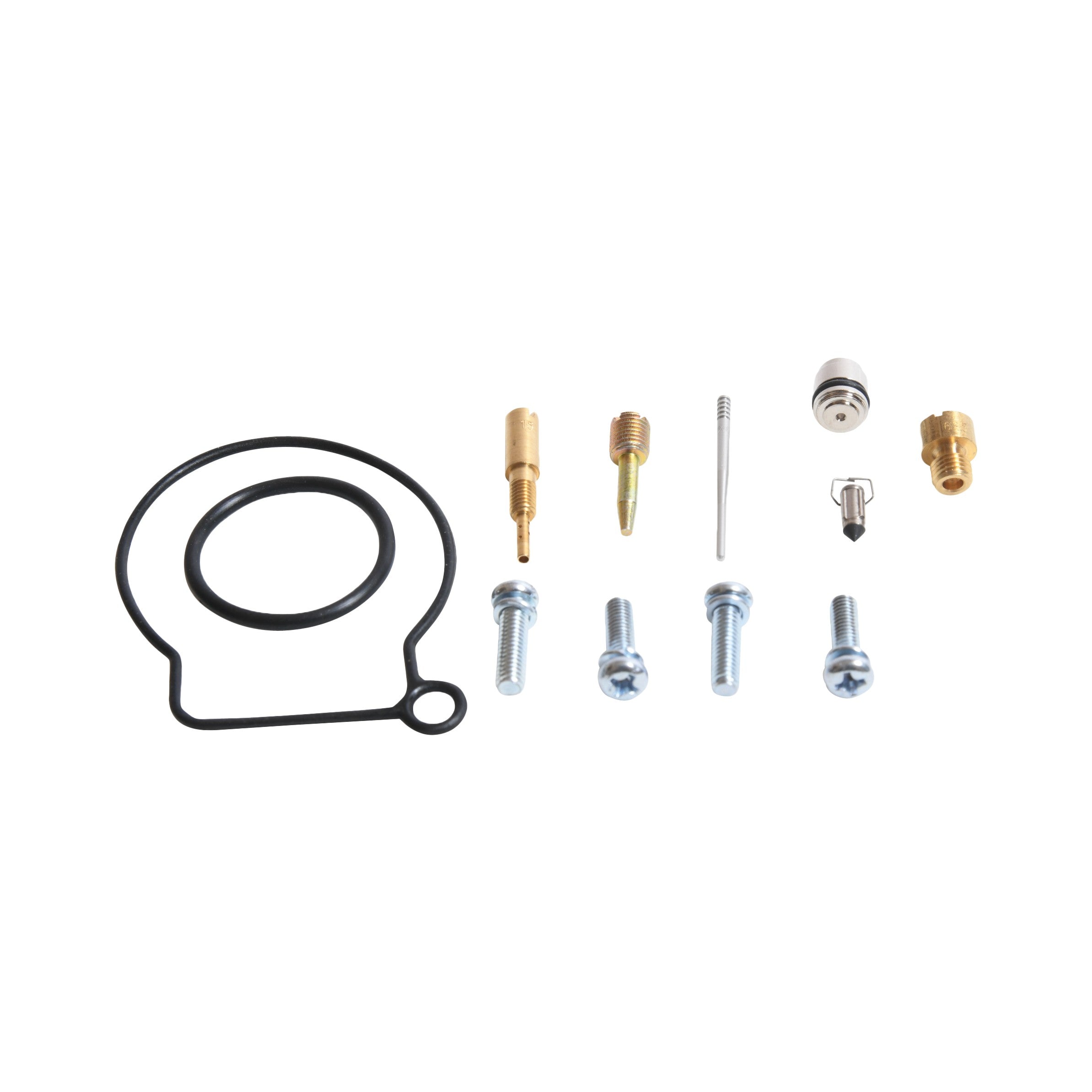 CARBURETOR REBUILD KIT - 226-10156