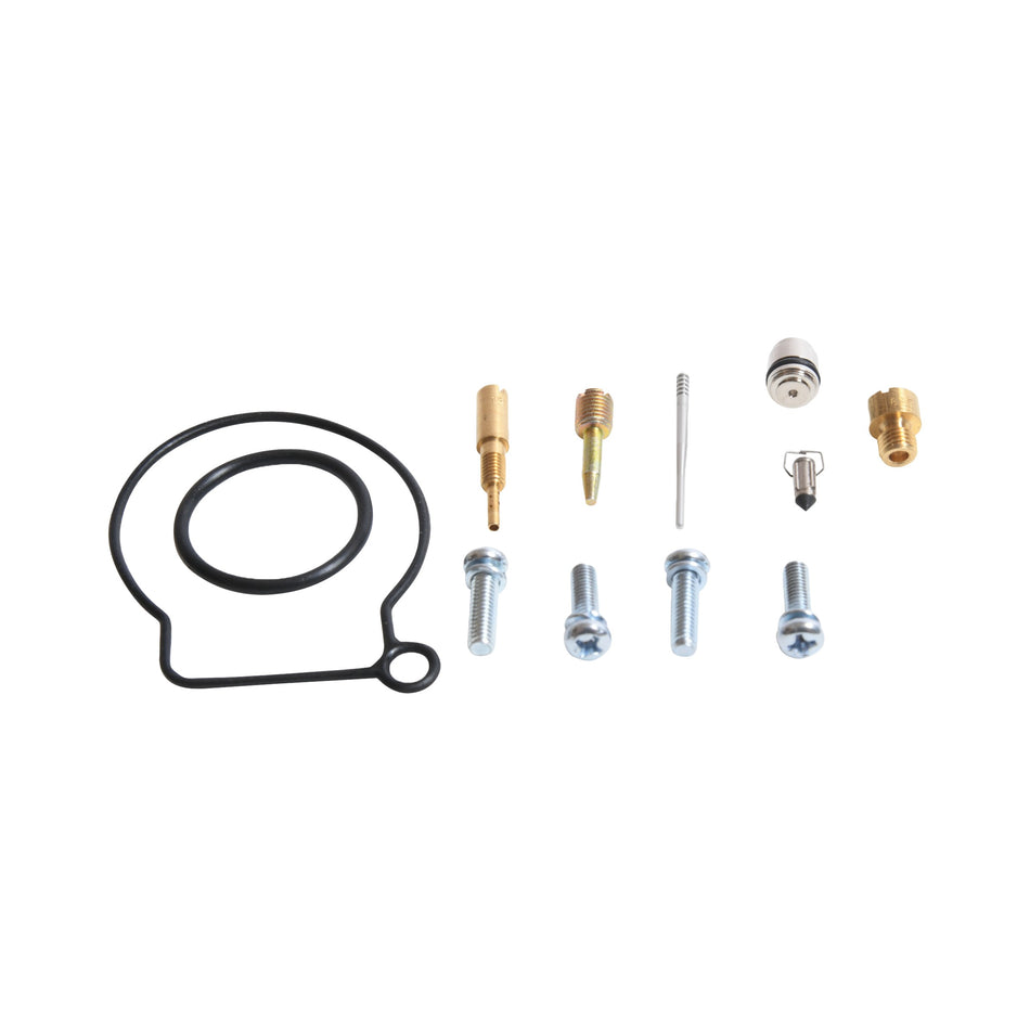 CARBURETOR REBUILD KIT - 226-10156