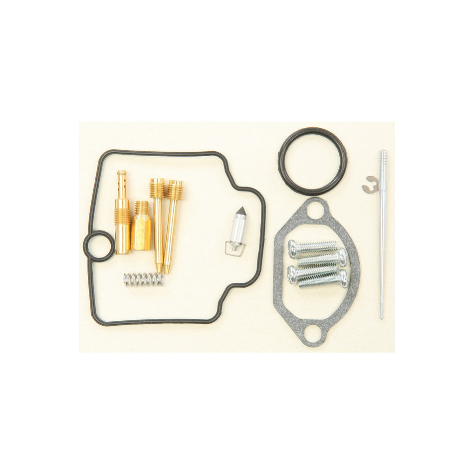 BIKE CARBURETOR REBUILD KIT - 226-1140