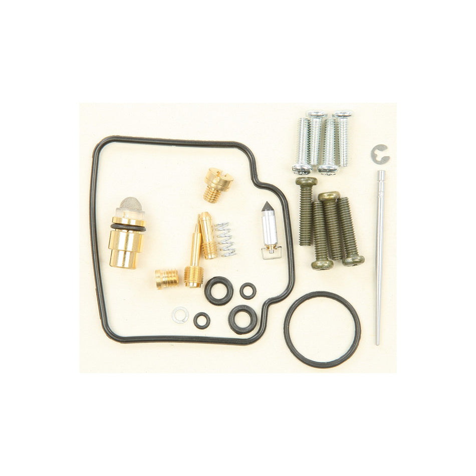 BIKE CARBURETOR REBUILD KIT - 226-1153