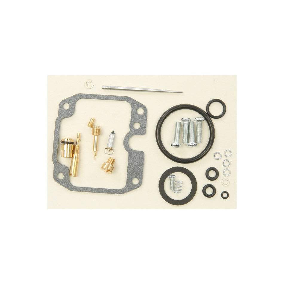 CARBURETOR REPAIR KIT - 226-1255