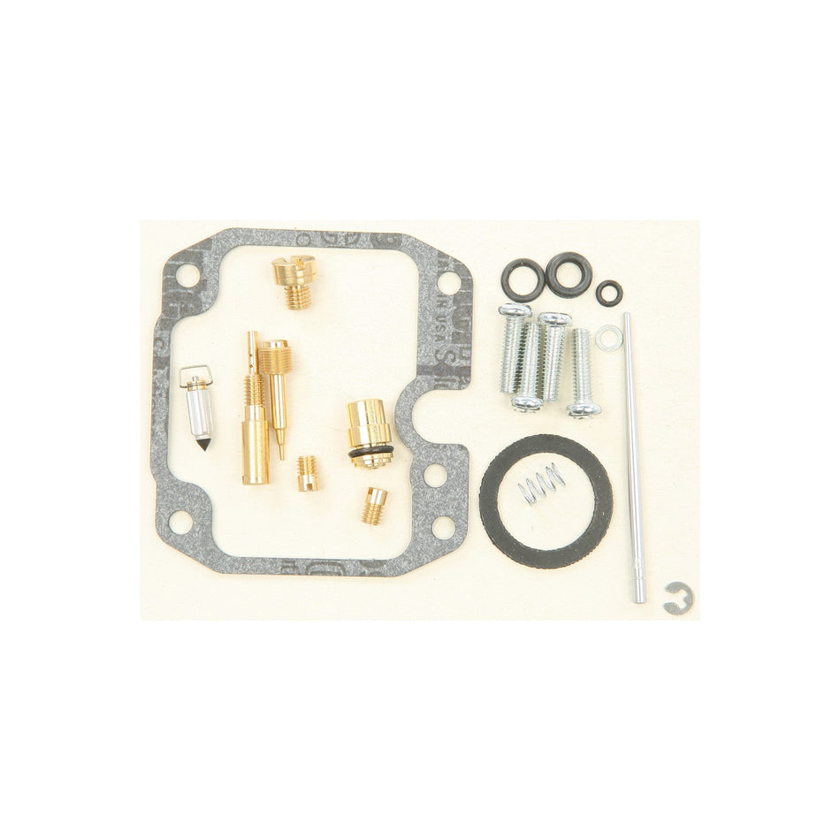 BIKE CARBURETOR REBUILD KIT - 226-1311