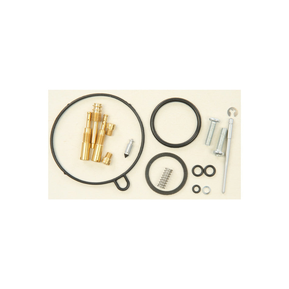 BIKE CARBURETOR REBUILD KIT - 226-1404