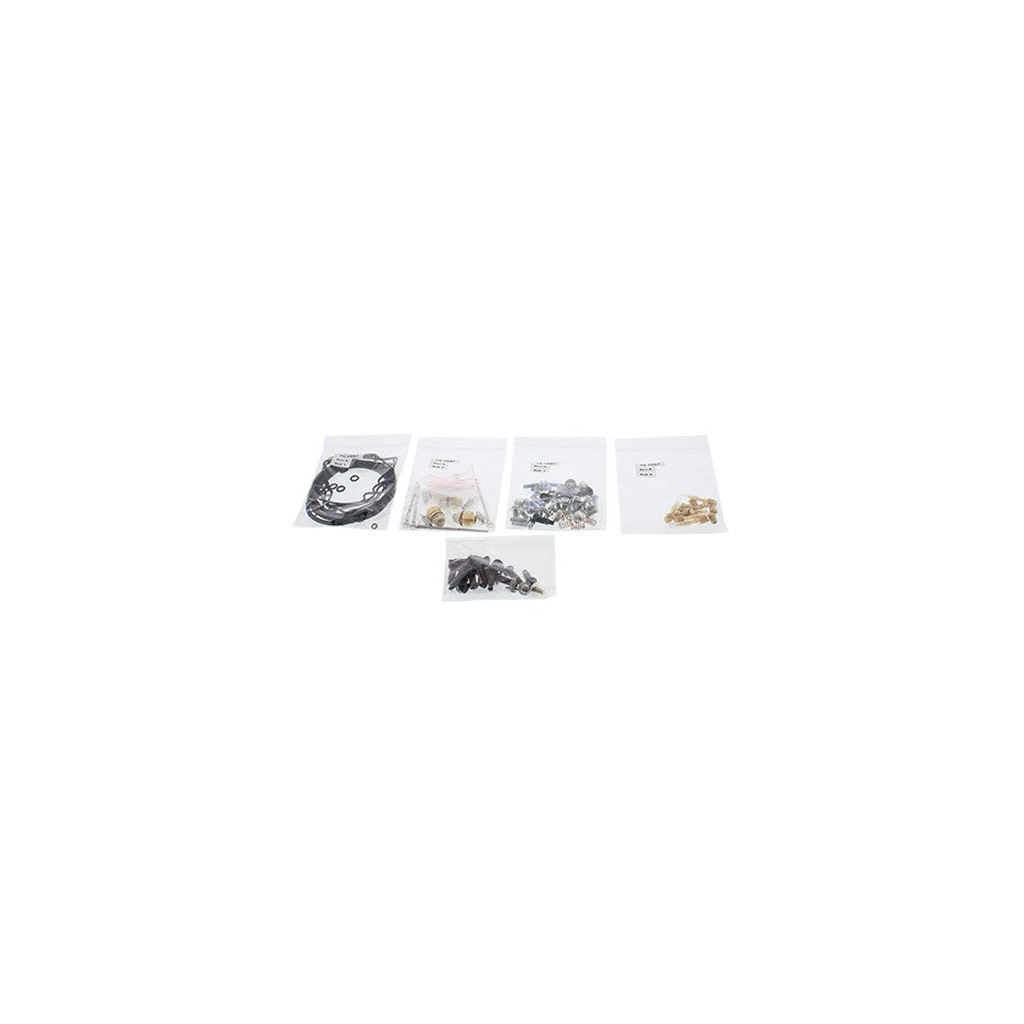 BIKE CARBURETOR REBUILD KIT - 226-1631
