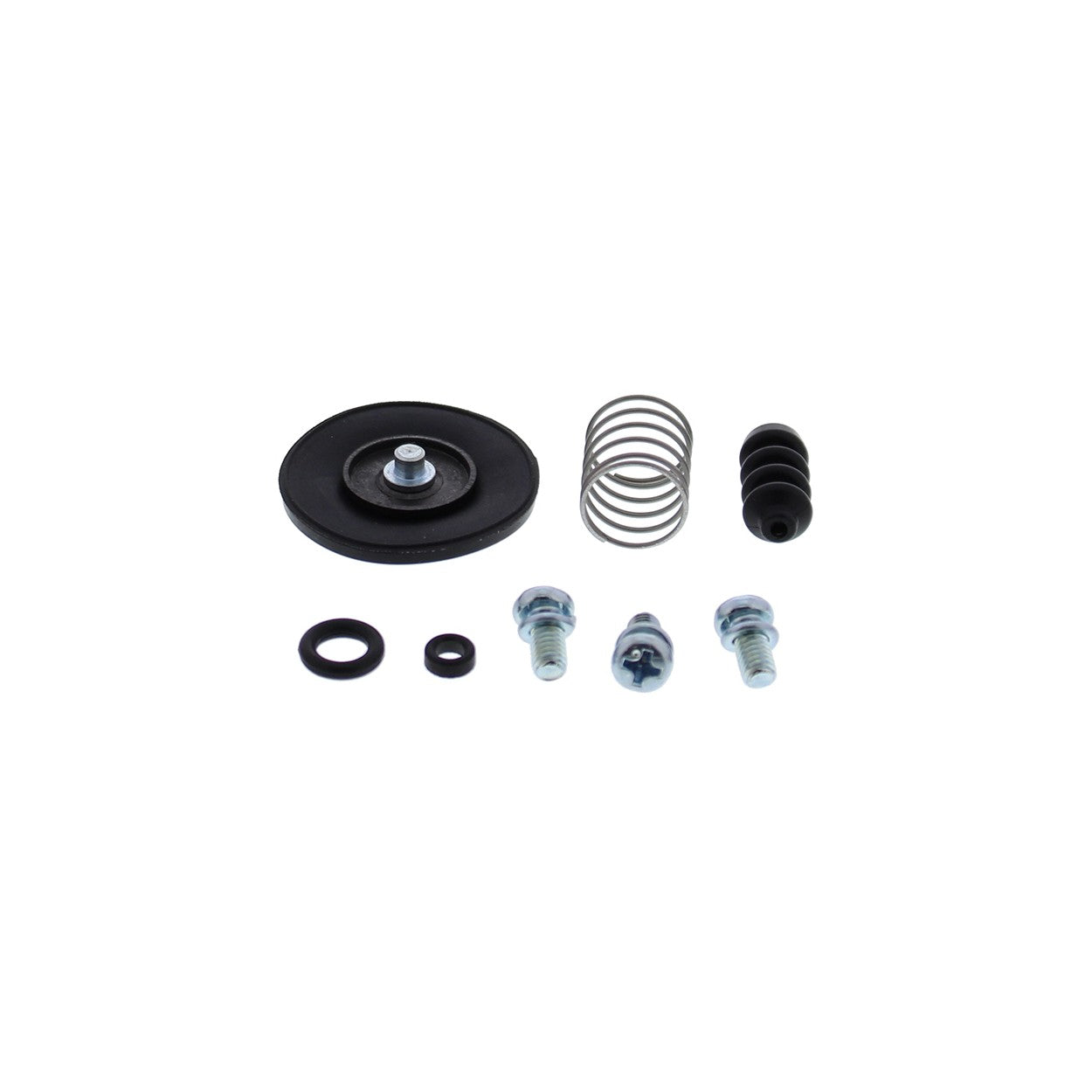 ACCEL. PUMP REBUILD KIT - 246-3004