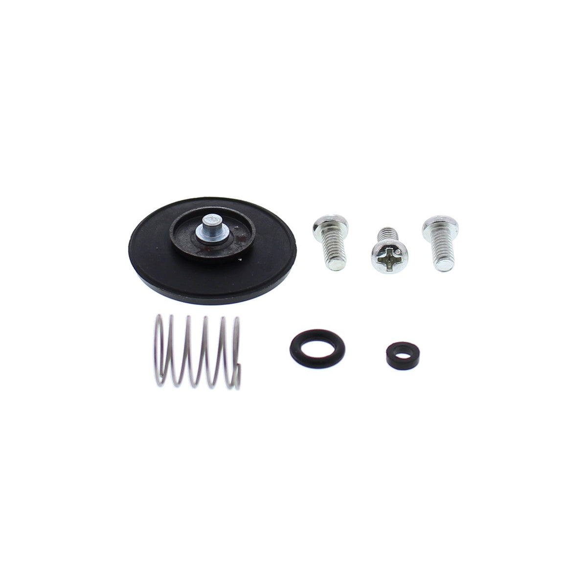 ACCEL. PUMP REBUILD KIT - 246-3005