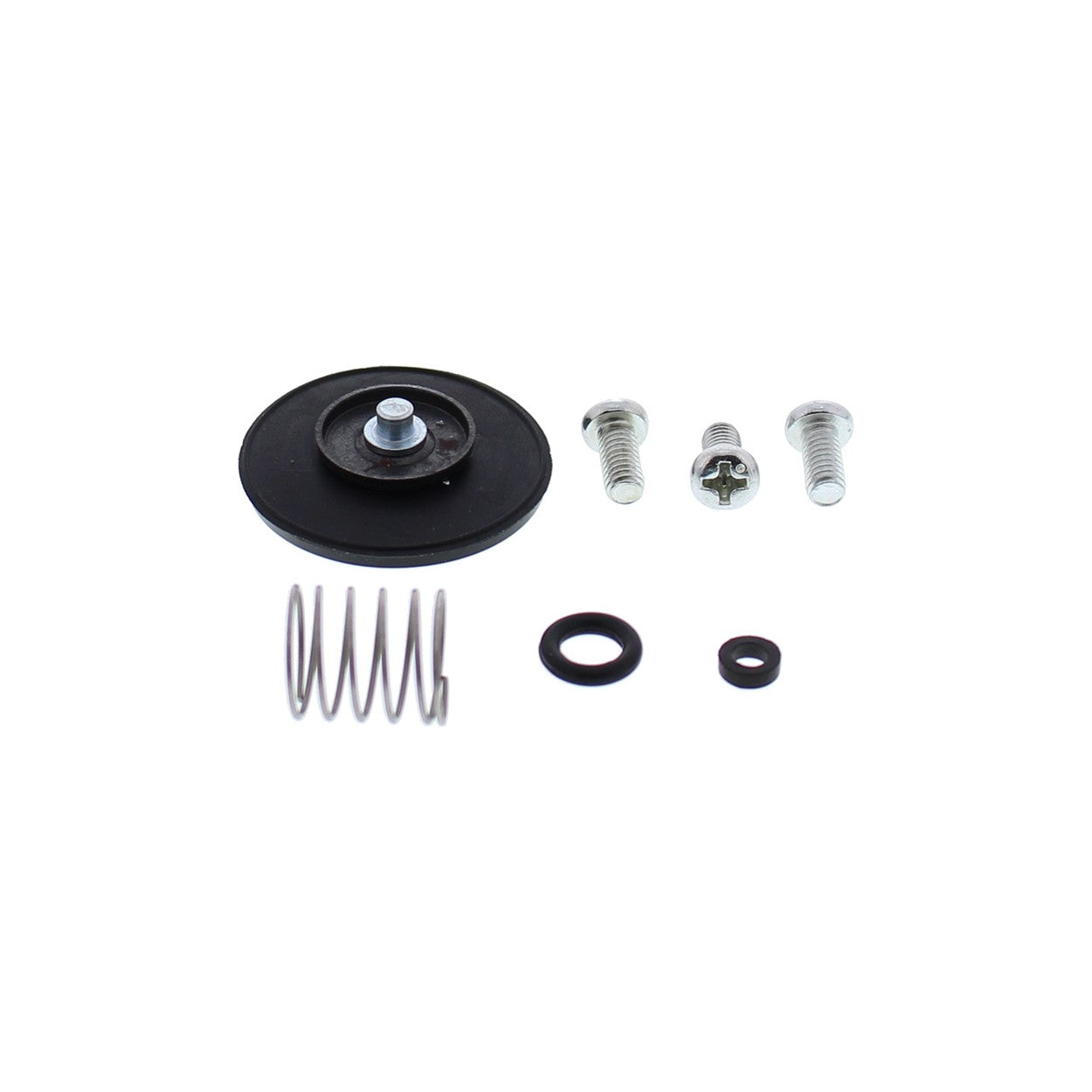 ACCEL. PUMP REBUILD KIT - 246-3005