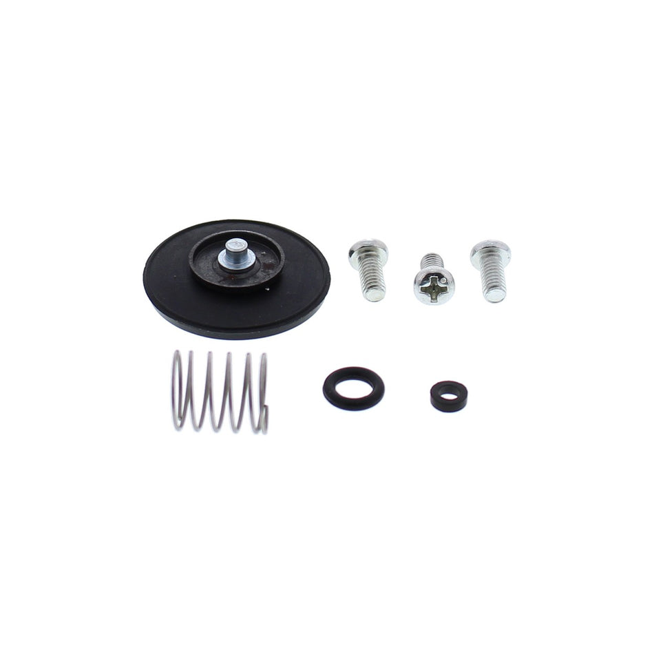 ACCEL. PUMP REBUILD KIT - 246-3005