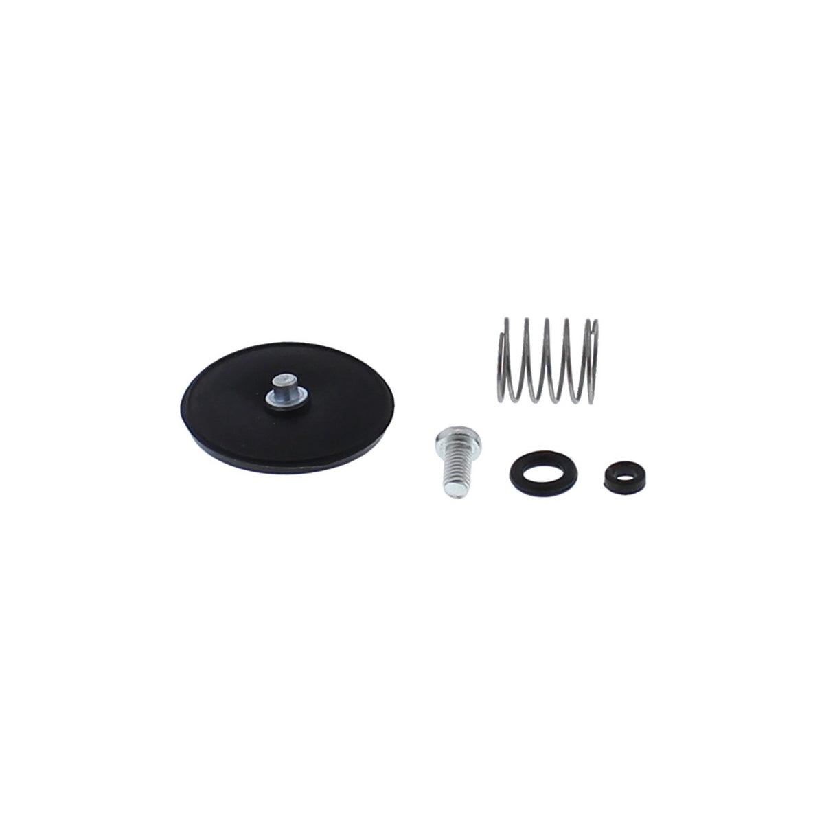 ACCEL. PUMP REBUILD KIT - 246-3007