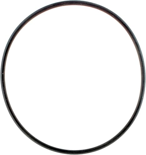 OEM Rubber O-Ring - 420931410