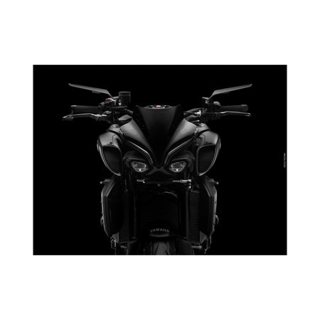 STEALTH NAKED MIRROR UNIVERSAL PAIR BLACK - 58-BSN010B