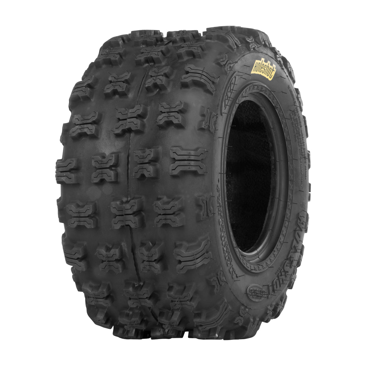 HOLESHOT GNCC REAR 20X10-9 LR300 BIAS - 59-2025