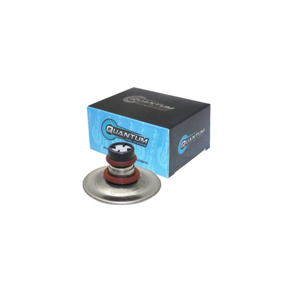 EFI FUEL PRESSURE REGULATOR - 821-0507