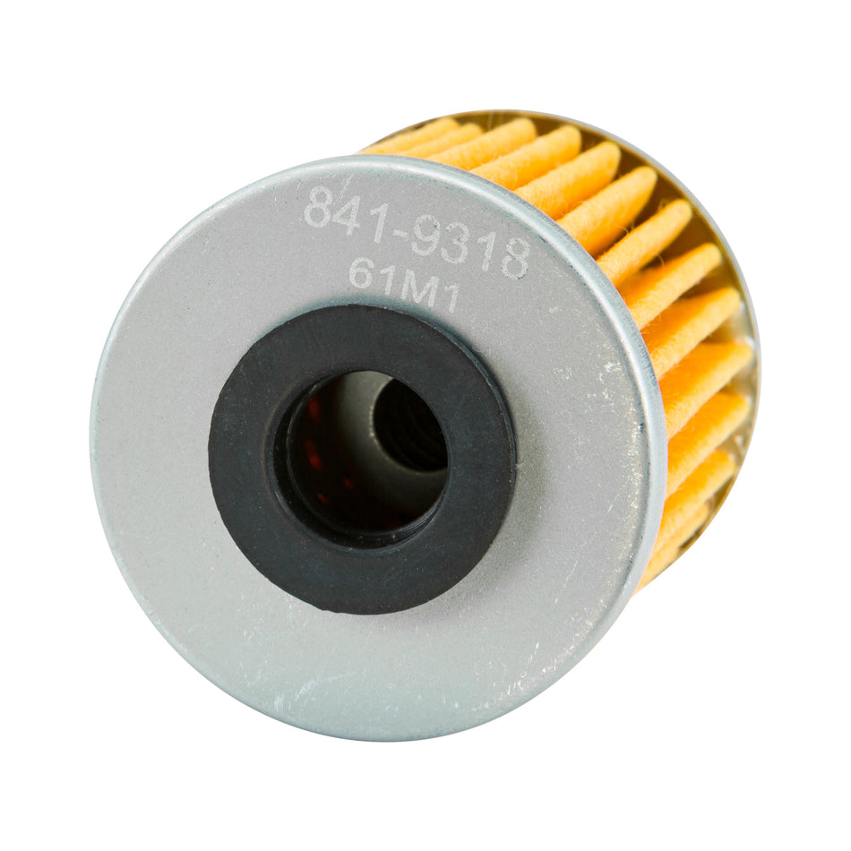 FP OIL FILTER 207 - 841-9318-1