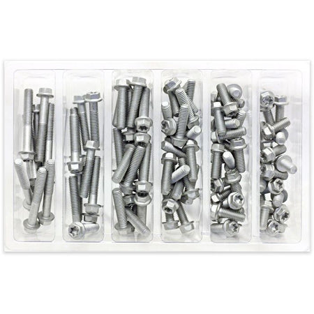 bolt-m6-euro-torx-flange-bolt-assortment-100-piece-kit-024-70000-b5f17f5a29-1