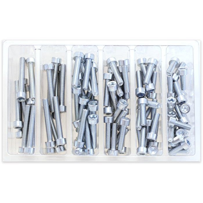 bolt-smooth-socket-head-allen-bolt-assortment-80-piece-kit-024-50000-ca0baca965-1
