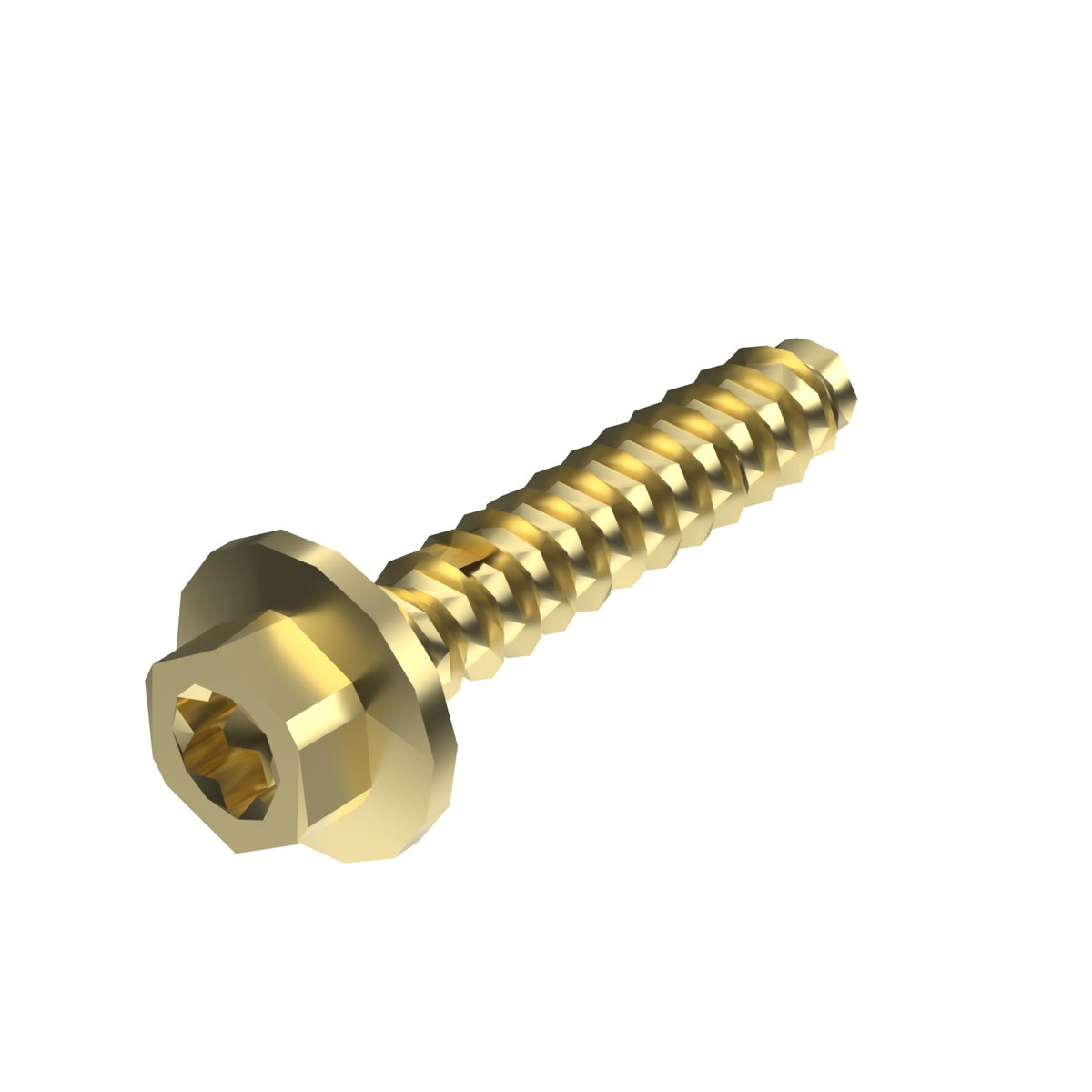 can-am-torx-screw-6x30-11e33ec5fc