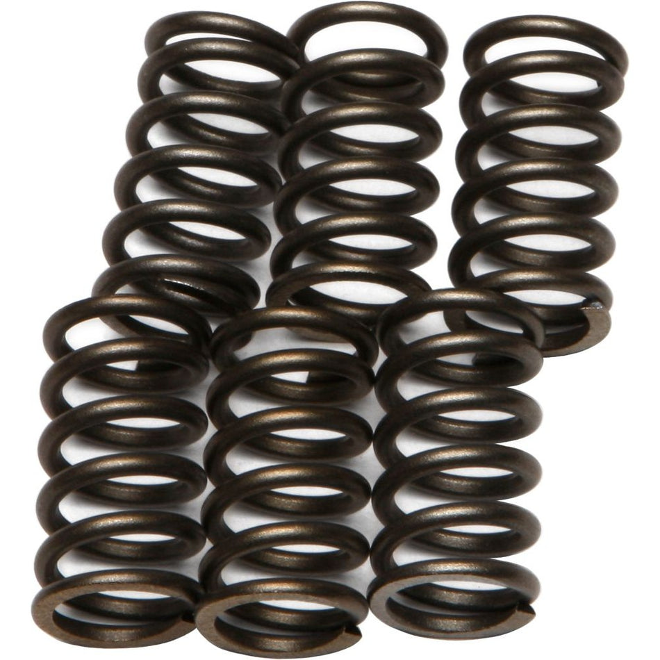 ebc-clutch-springs-csk10-15-1710-b5e54210fe