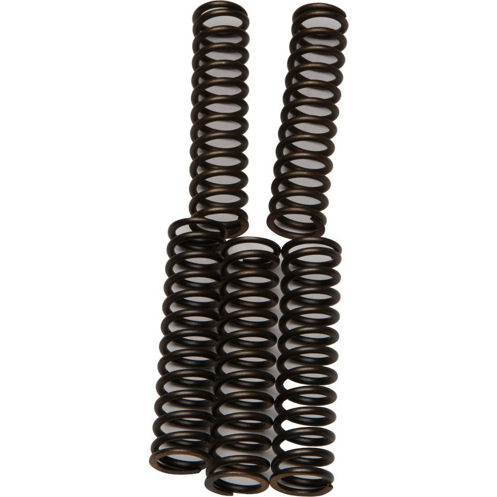 ebc-clutch-springs-csk110-15-17110-7201c35576