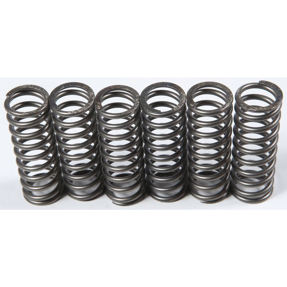 ebc-clutch-springs-csk119-15-17119-16893b555f