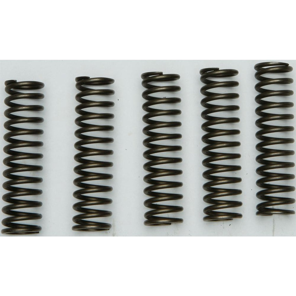 ebc-clutch-springs-csk128-15-17128-57ab71897d