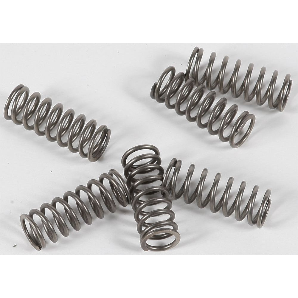 ebc-clutch-springs-csk133-15-17133-eed4e46a26