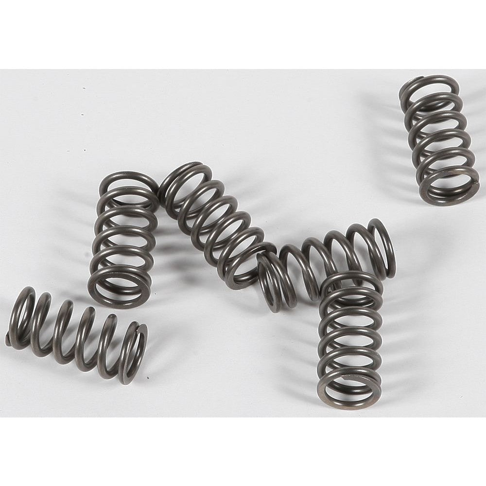 ebc-clutch-springs-csk139-15-17139-e8dfa0b640