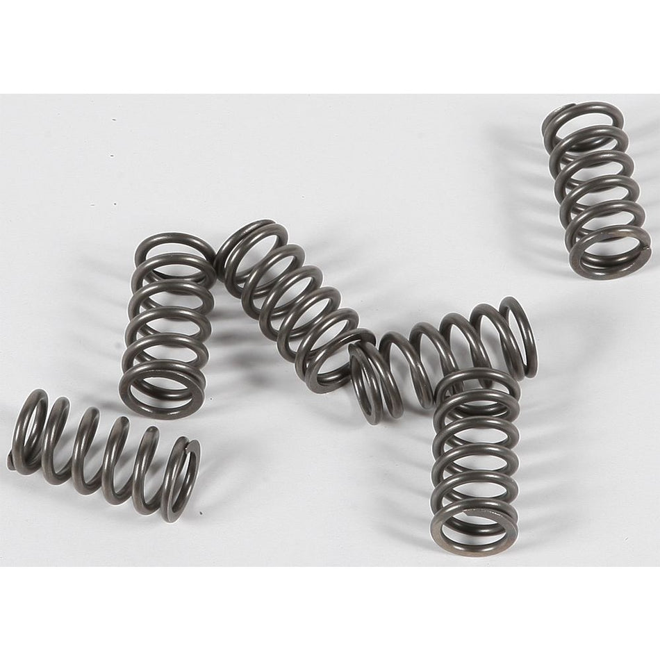 ebc-clutch-springs-csk139-15-17139-e8dfa0b640
