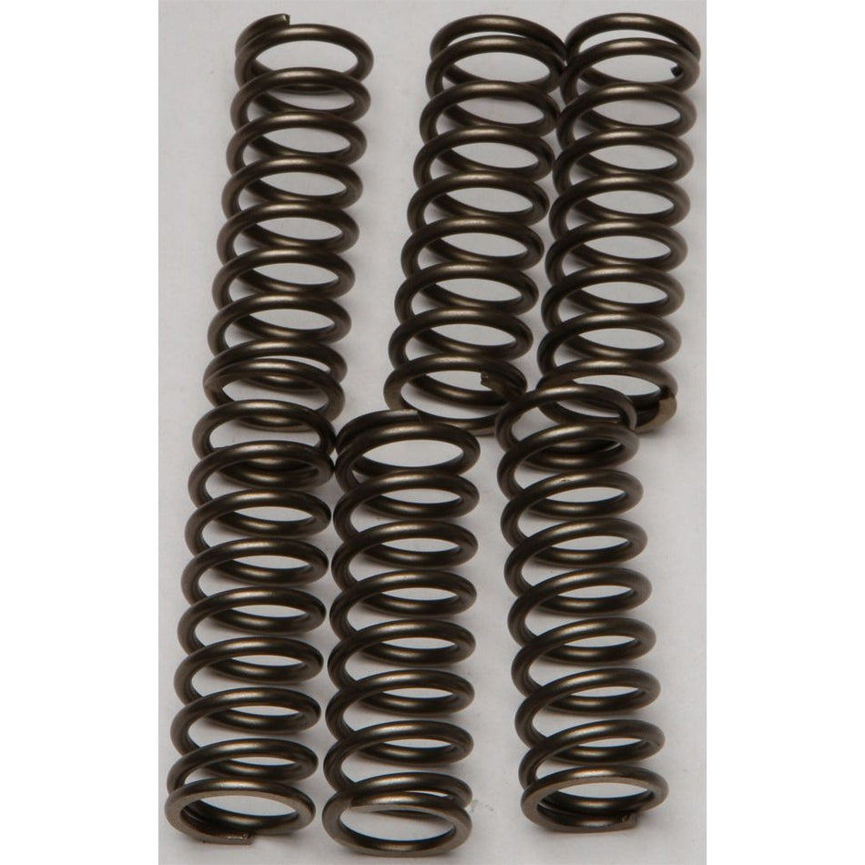 ebc-clutch-springs-csk160-15-17160-8c6d018d11