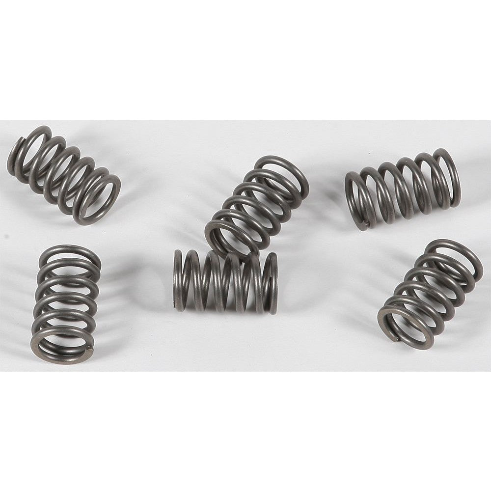 ebc-clutch-springs-csk161-15-17161-b453800a04