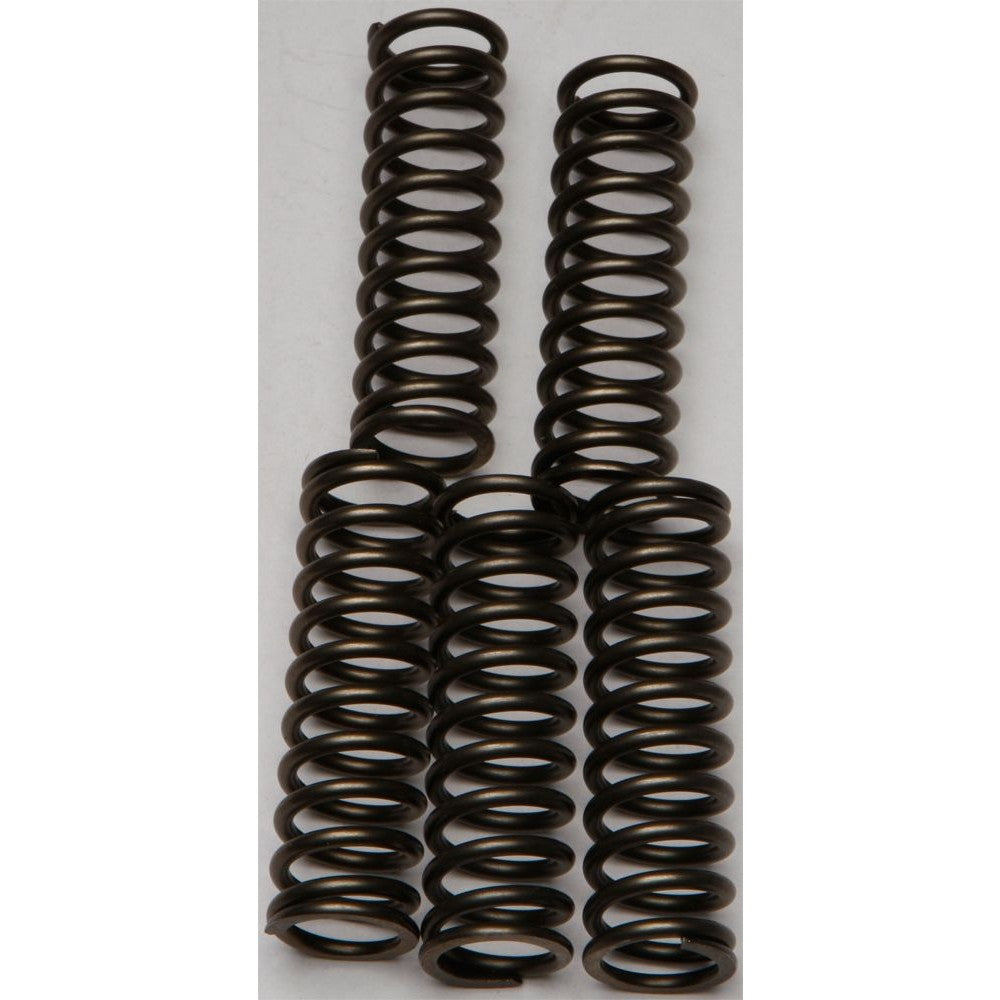 ebc-clutch-springs-csk169-15-17169-d8688e8da8