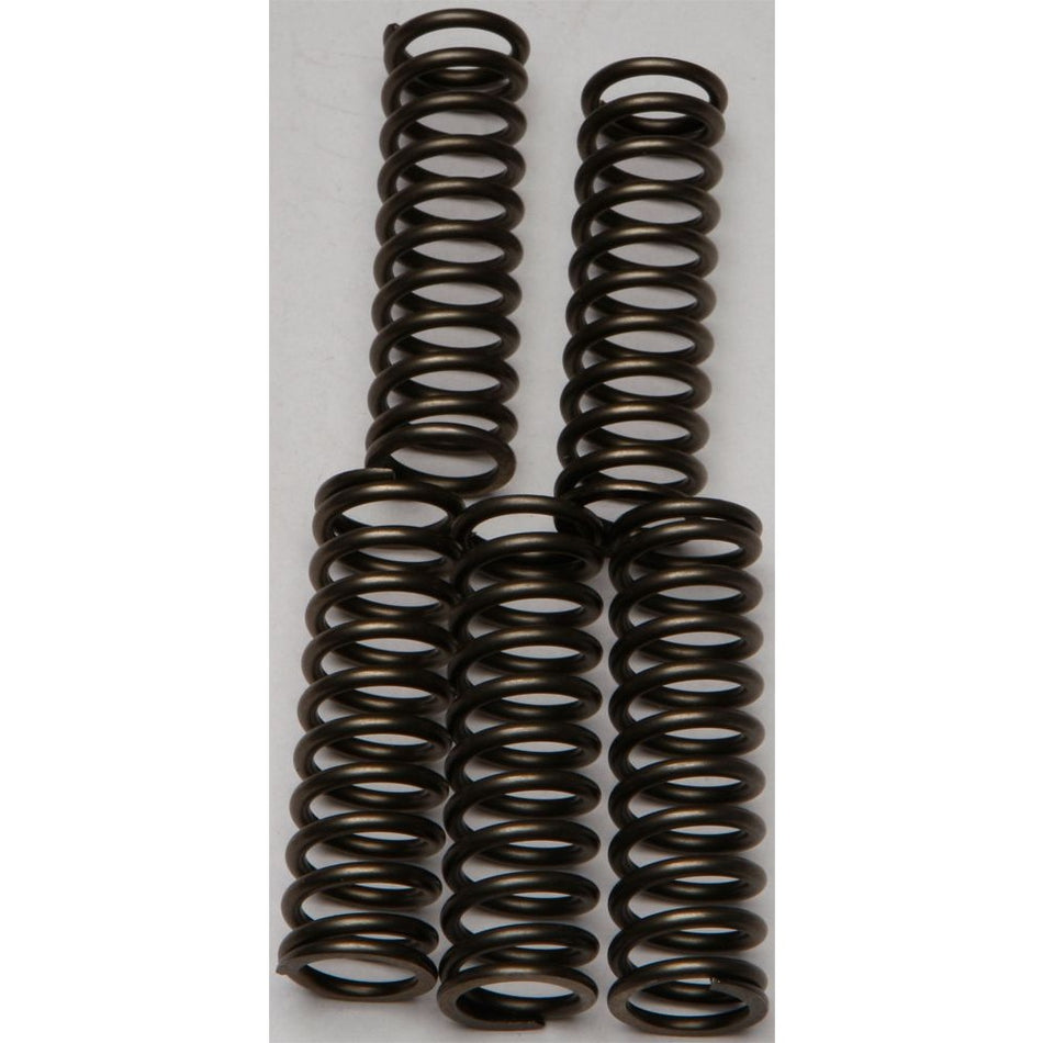ebc-clutch-springs-csk169-15-17169-d8688e8da8