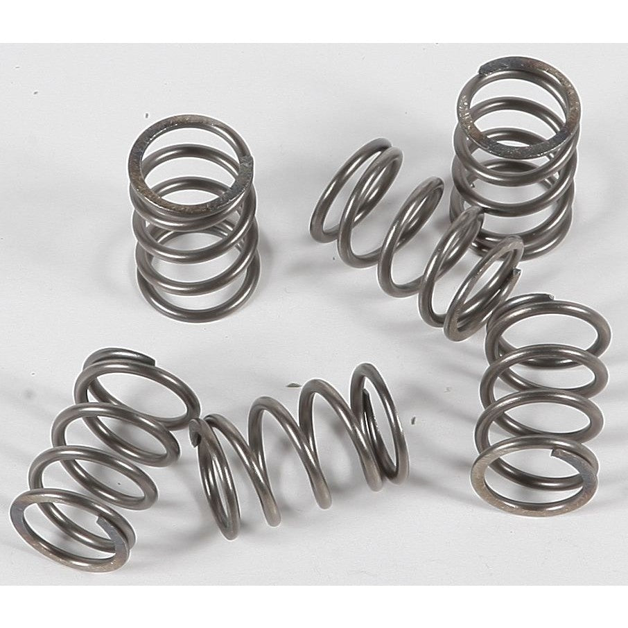 ebc-clutch-springs-csk197-15-17197-2a13f5700a