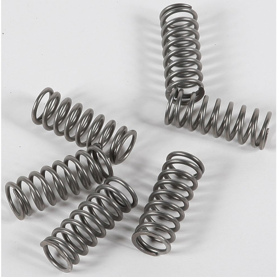 ebc-clutch-springs-csk198-15-17198-98cc21df25