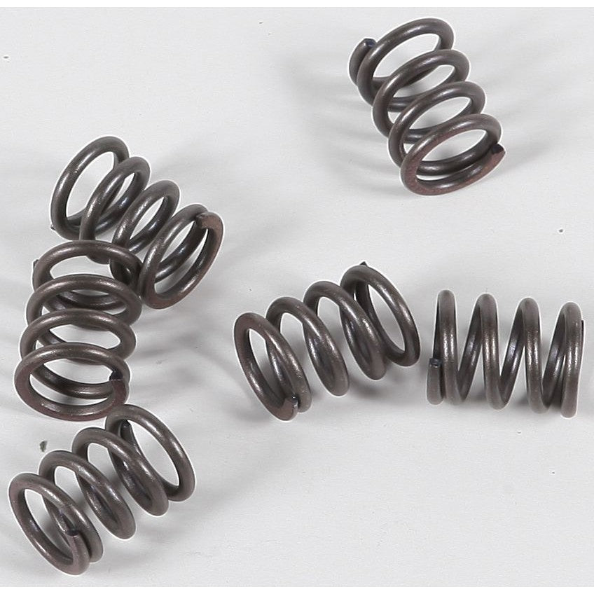 ebc-clutch-springs-csk21-15-1721-7759d95880