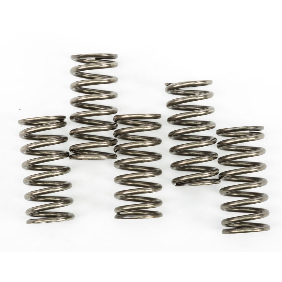 ebc-clutch-springs-csk237-15-17237-fb9b01cf81