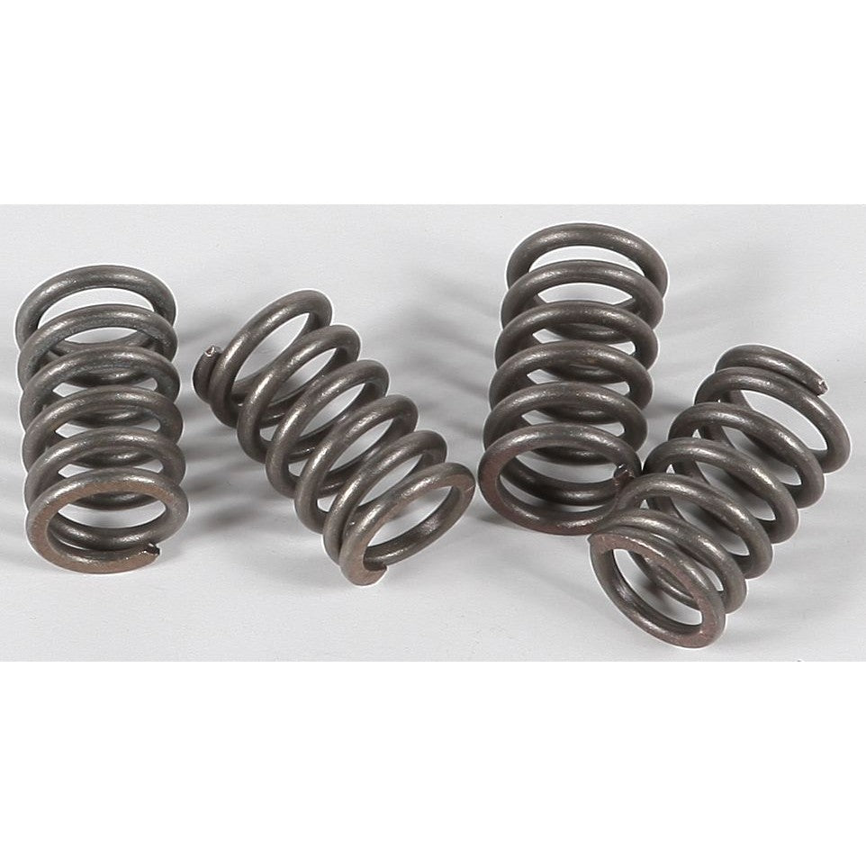 ebc-clutch-springs-csk3-15-1703-2031b705c7