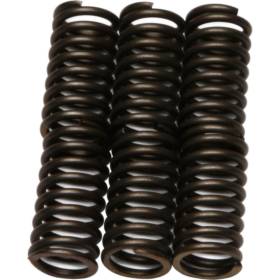 ebc-clutch-springs-csk30-15-1730-1522b90601