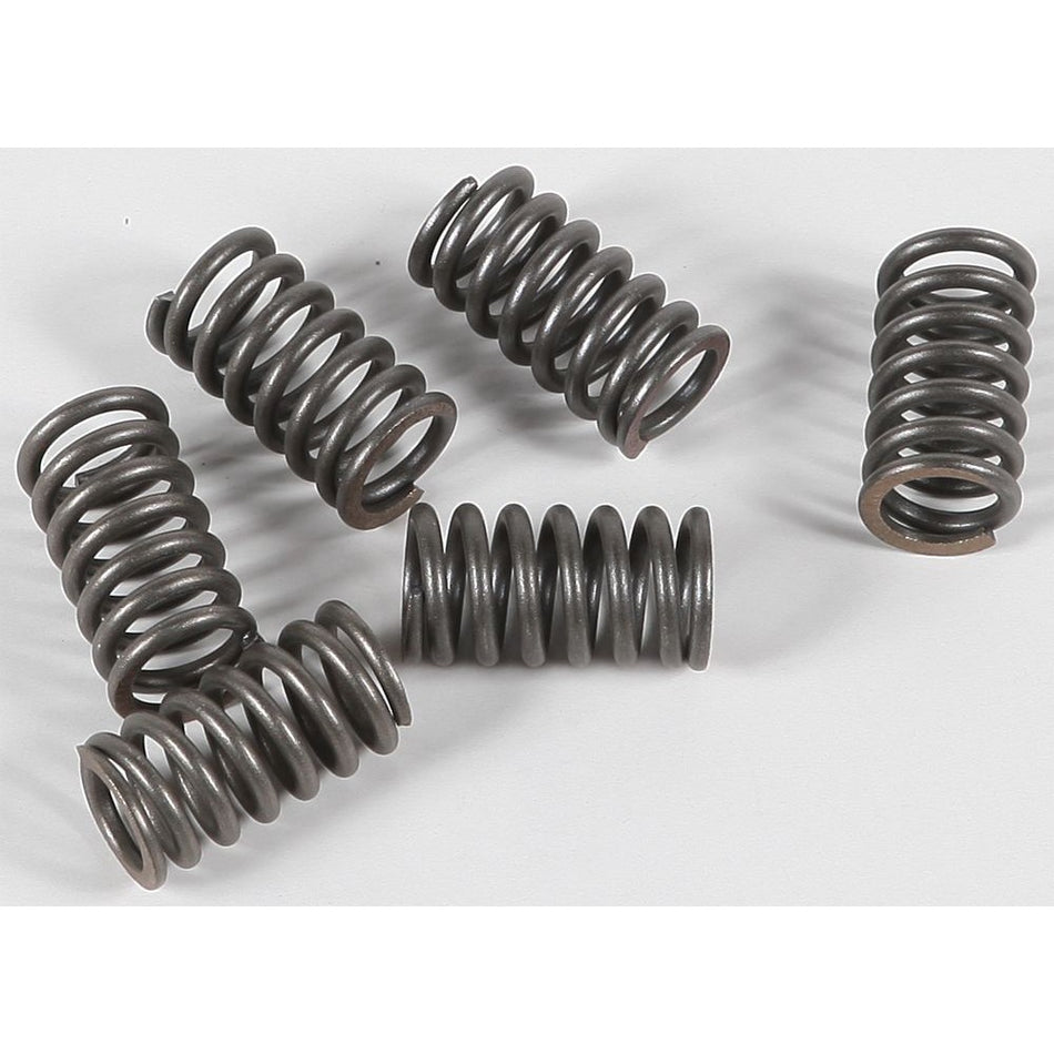 ebc-clutch-springs-csk31-15-1731-c87228b433