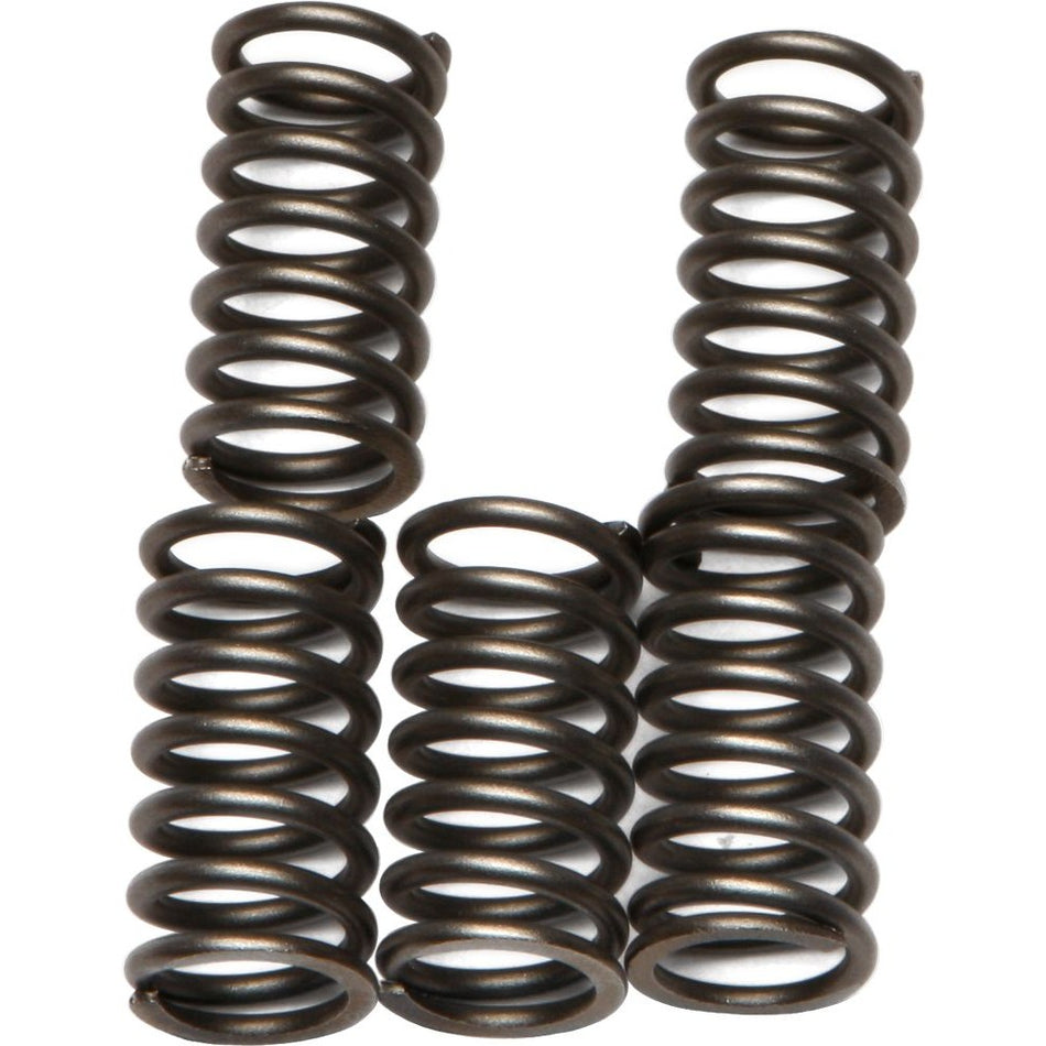 ebc-clutch-springs-csk56-15-1756-3d395577ec
